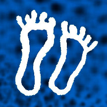 Footsteps