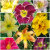 KBE_FARMS_LTD