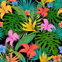 Tropical Patterns!