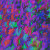 SurrealColorLab