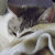FocusOnLove_Devoted