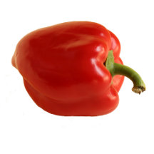 Vegetables