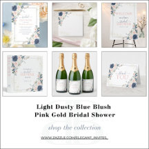 Light Dusty Blue Blush Pink Gold Bridal Shower