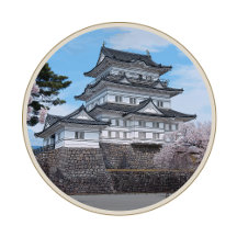 Japanese Castle