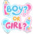 ArtsGenderReveal