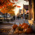 FallAmberGlow