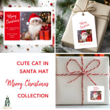 Cute Cat in Santa Hat Merry Christmas Collection