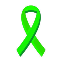 Lyme Magnets