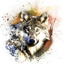 Spirit Animals