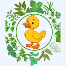 Funny Gifts Collection