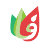 FFaruq_Design