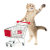 Zazzle Dazzle Cat