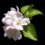 L&C PhotoArt - Main - Photo & Art