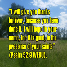 Biblical Scripture Verses (7)