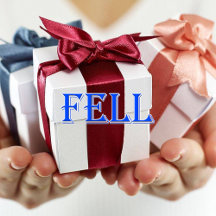 Fell_Name T-Shirt