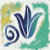 BlueTulip Studio