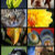 Diane N. Ennis Digital Designs