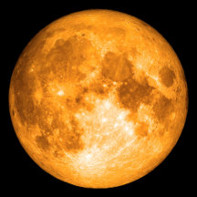 Orange Full Moon Collection