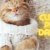 Daisy's Feline Fine