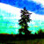 98382 PNW Shop
