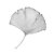Ann_Brantingham