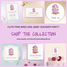 CUTE PINK BIRD GIRL BABY SHOWER PARTY SUPPLIES