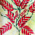Floral & Abstract by Saudah