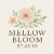 Mellow Bloom Studio