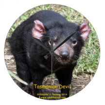 Tasmanian Devil