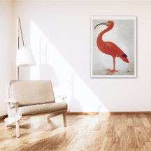 Animals in Art: Flamingo