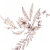 Rosella Designs