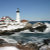 MAINE IMAGES&DEZIGNS TREASURES