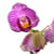 Foothills Designs