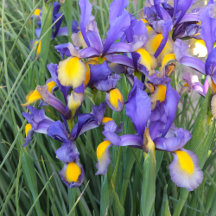 beautiful pictures of the natural world