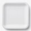 Plato de papel