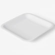 Plato de papel