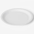 Plato de papel