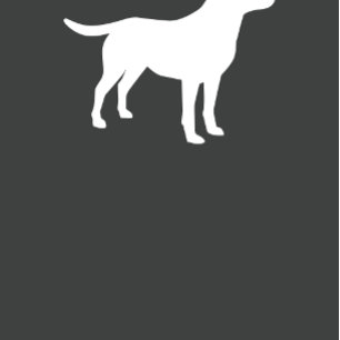 Invitación Laboratorio Neutral de Género de Labrador Baby Sho