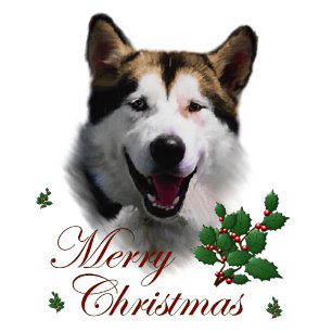 Tarjeta Festiva Regalos de Navidades de Malamute en Alaskan