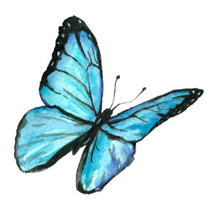Invitación Elegantes rayas blancas negras. Boda de mariposas