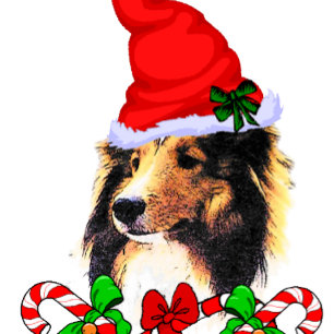 Tarjeta Festiva Navidades de Shetland Sheepdog
