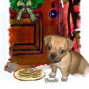 Regalos del navidad de Puggle
