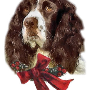 Regalos del navidad del perro de aguas de saltador