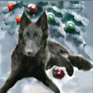 Tarjeta Festiva Regalos de Navidades de Sheepdog de Bélgica