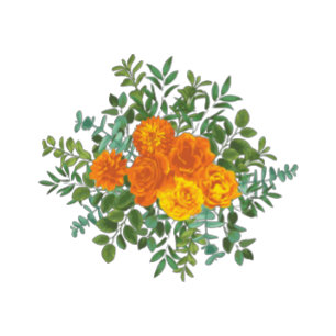 Naranja Peony y tarjeta de información adicional p