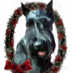 Tarjeta Festiva Regalos de Navidades Schnauzer