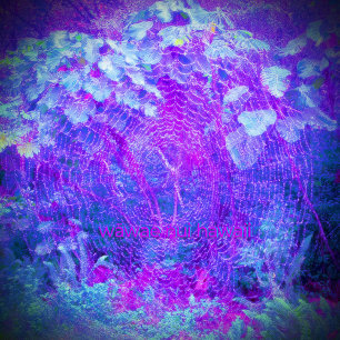 Sudadera Orb Weaver/Entre Raíces,