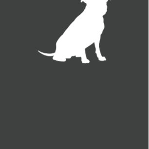 Invitación Pit Bull Baby Shower Género Neutral Pitbull