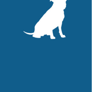 Invitación Bulldog Pit Baby Shower Blue Boy Pitbull