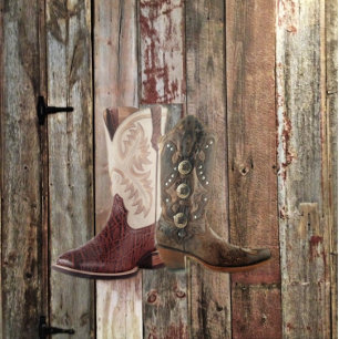 Anuncio alambre de púas boda en el país occidental